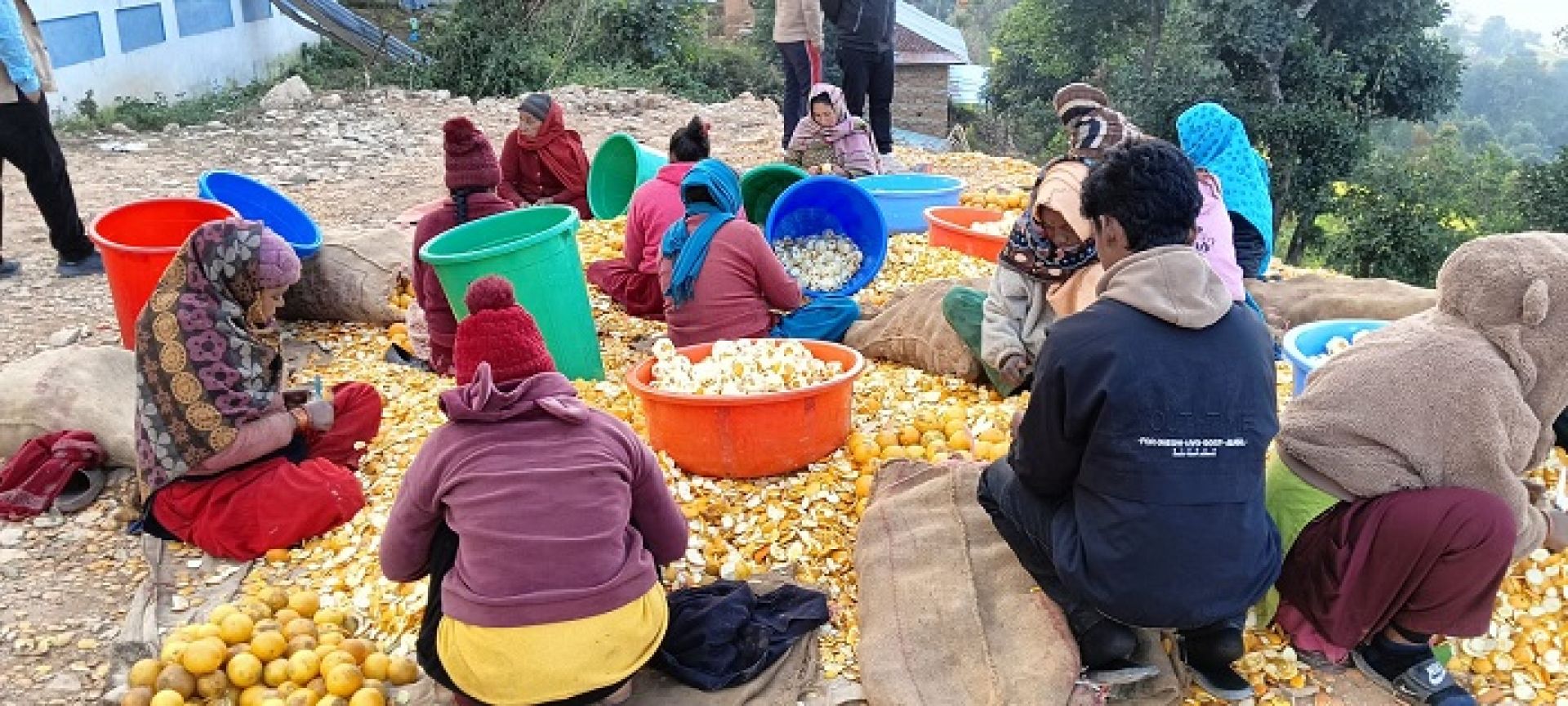 गाउँकै उत्पादन गाउँमै उद्योग: रामेछापको जुनारले दिलायो स्थानीयलाई रोजगारी र राहत